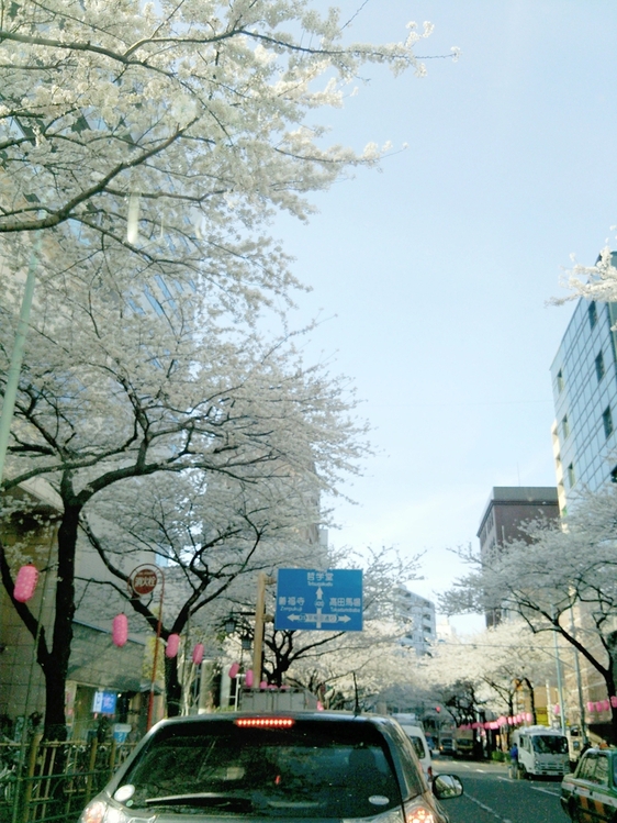 b0193632_1311498.jpg