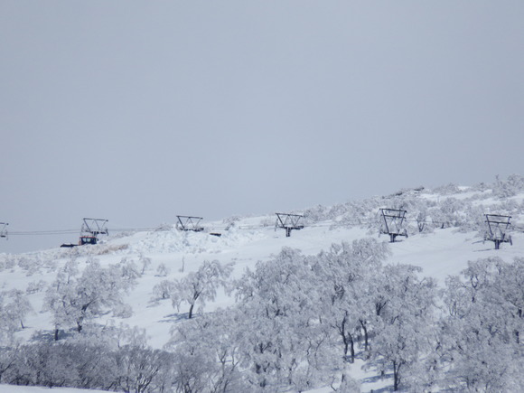 f0118332_230209.jpg
