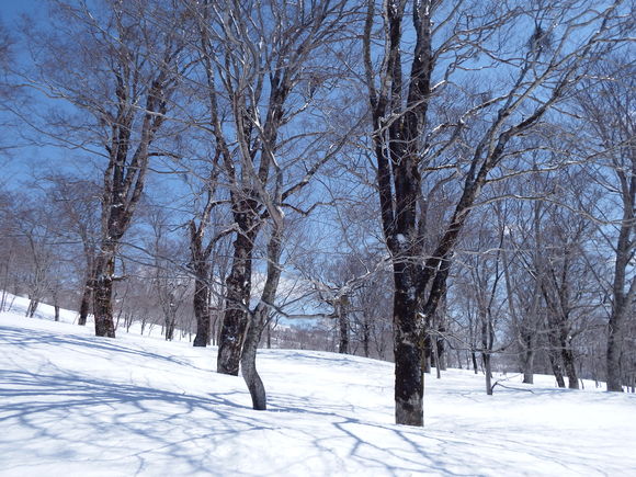 f0118332_23201839.jpg
