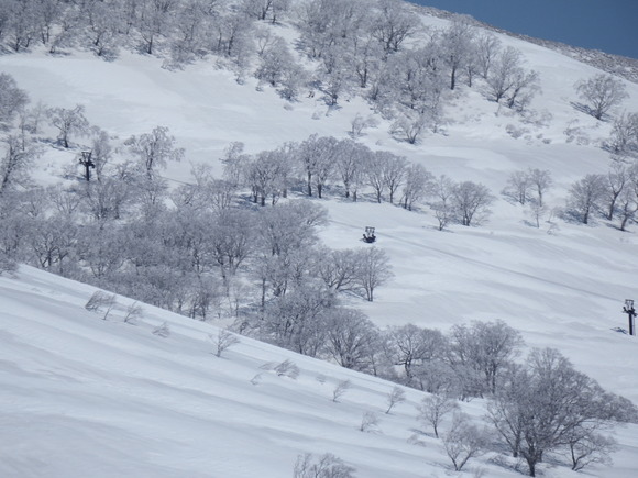 f0118332_2321515.jpg