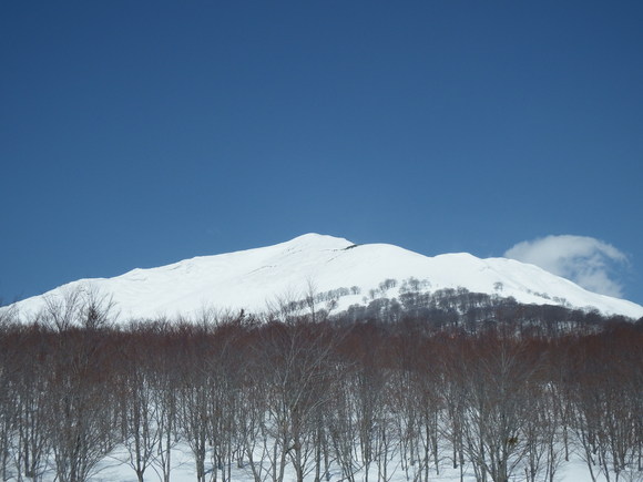 f0118332_232354.jpg