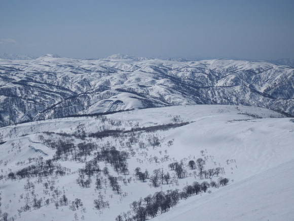 f0118332_2324152.jpg