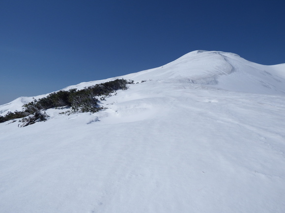 f0118332_23243463.jpg
