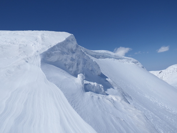 f0118332_23264064.jpg