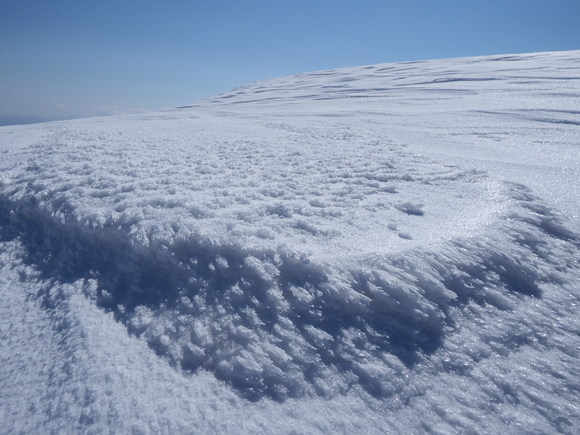 f0118332_23321391.jpg
