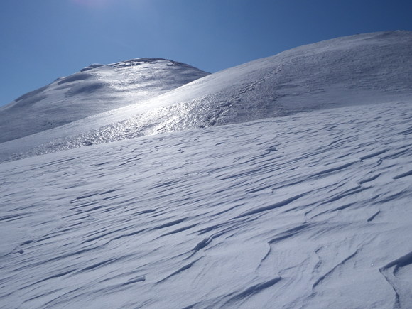 f0118332_2348143.jpg