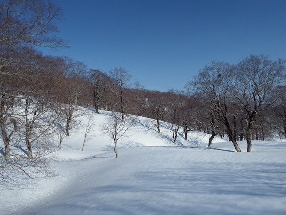 f0118332_23511968.jpg