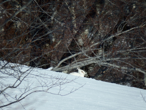 f0118332_23545559.jpg
