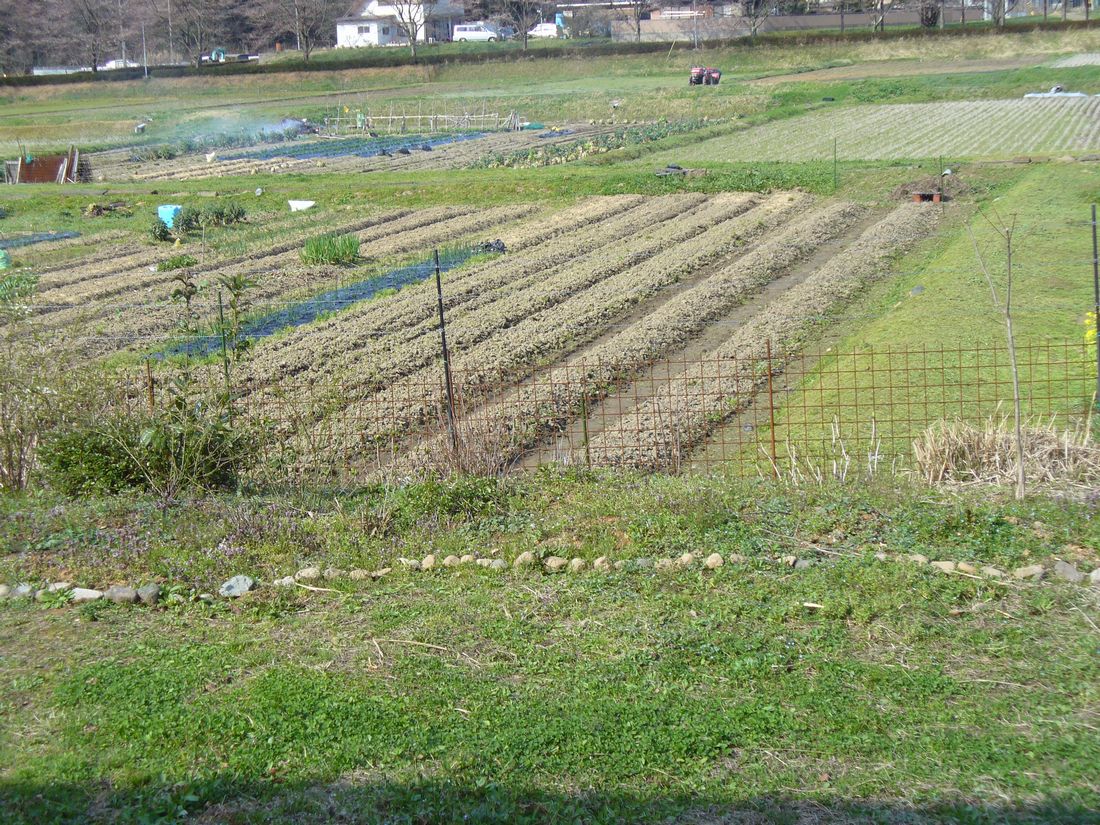 f0275632_2158852.jpg