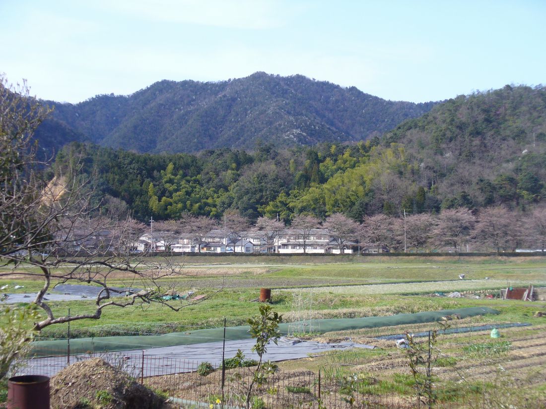 f0275632_21591571.jpg