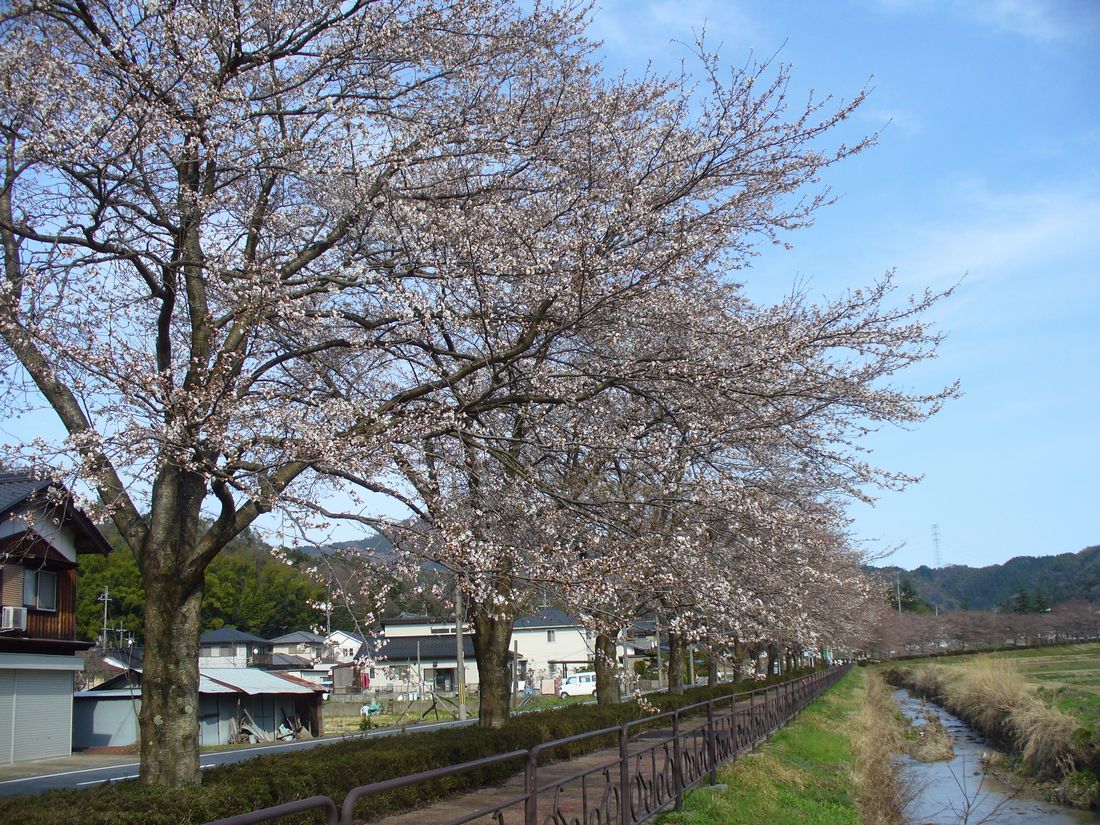 f0275632_2204372.jpg