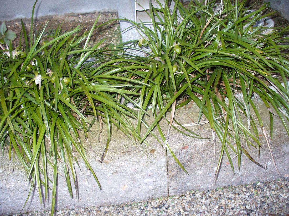 f0275632_2219455.jpg