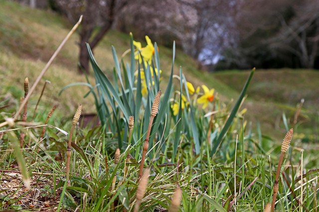 a0242438_19265411.jpg