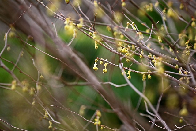 a0242438_192737.jpg