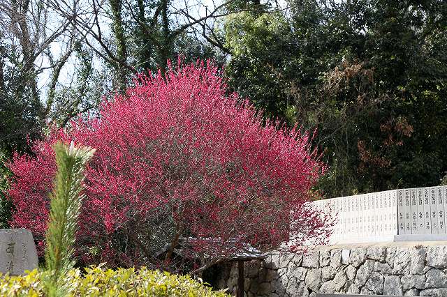 a0242438_1928972.jpg