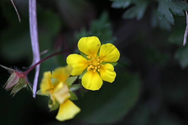 a0242438_19292928.jpg