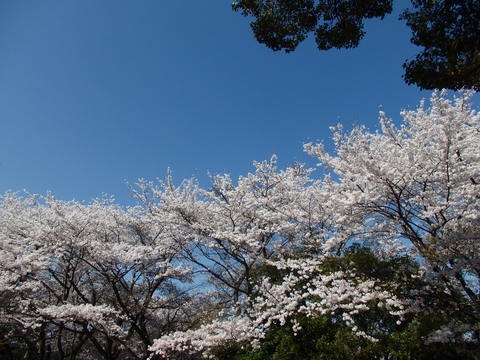 a0054240_2130693.jpg