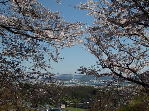 a0054240_21332681.jpg