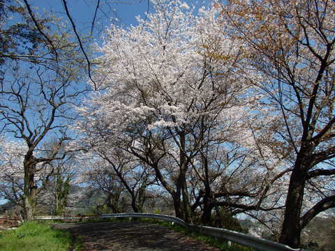 a0054240_2201489.jpg
