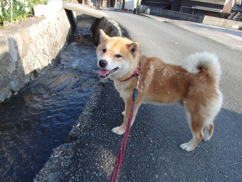 a0054240_228614.jpg