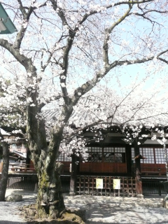 b0325640_16464579.jpg