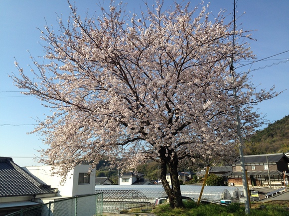 c0307941_11282942.jpg