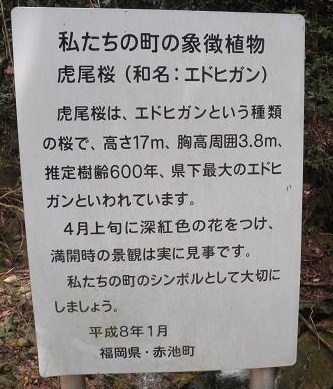 e0164643_10175981.jpg