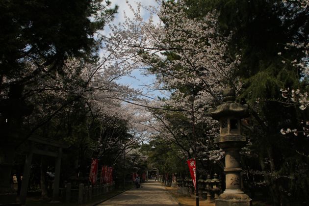 f0234644_1824663.jpg
