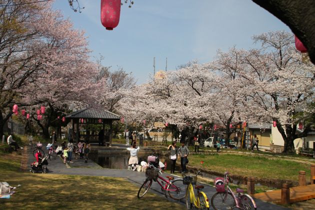 f0234644_1833068.jpg