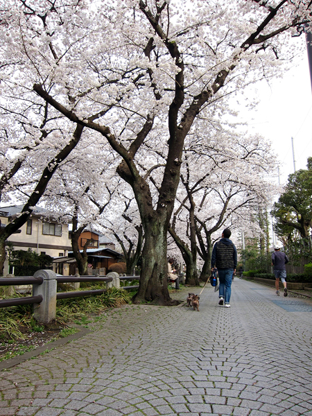 f0166645_18335782.jpg