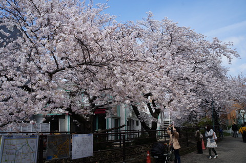 c0206352_211999.jpg