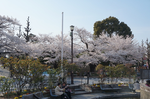 c0206352_2173276.jpg