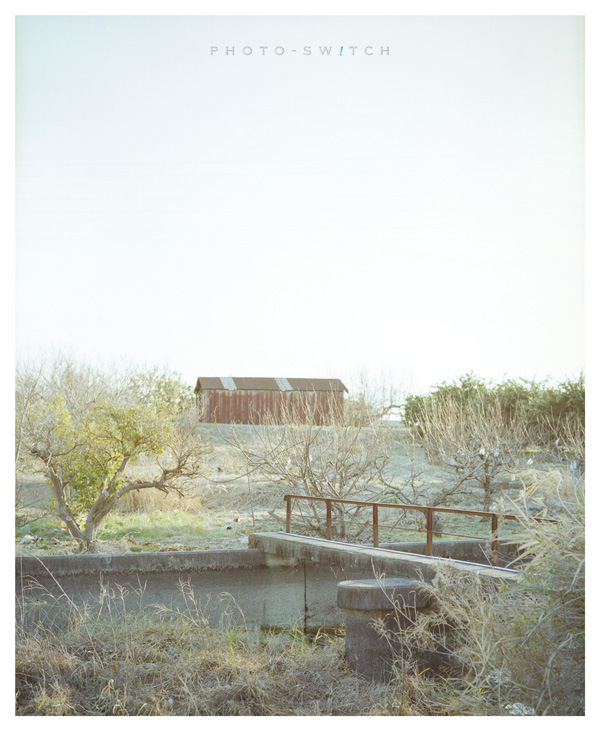 c0156854_22422210.jpg