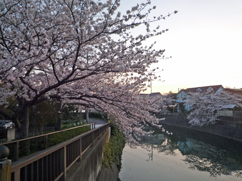 b0045357_9495949.jpg