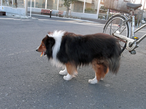 b0045357_951258.jpg