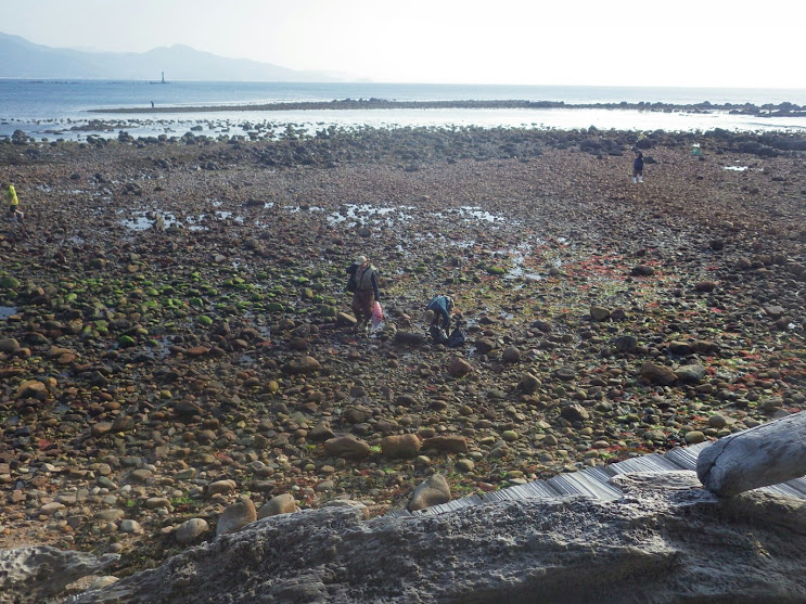 f0201157_01035259.jpg