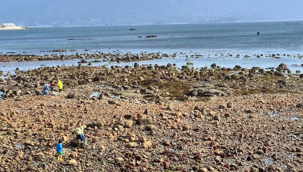 f0201157_01035586.jpg