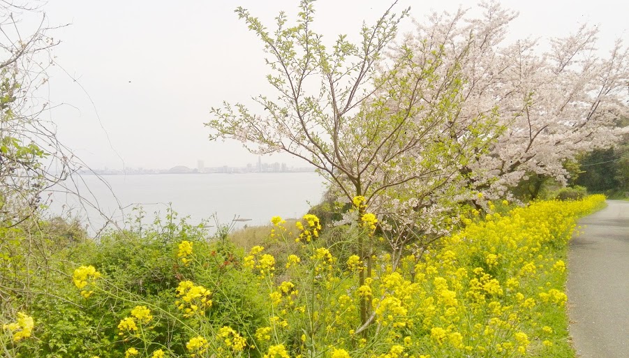 f0201157_01535096.jpg
