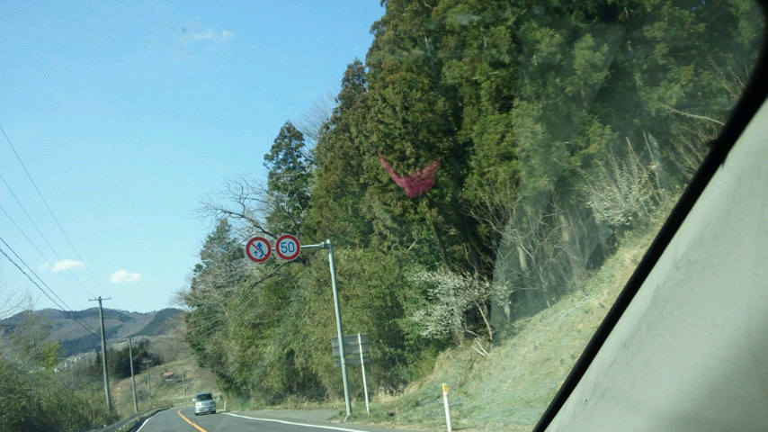 a0267766_1350564.jpg