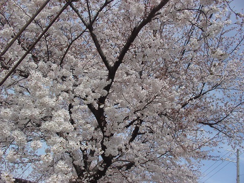 b0194872_23115125.jpg