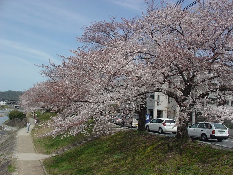 b0194872_2311656.jpg