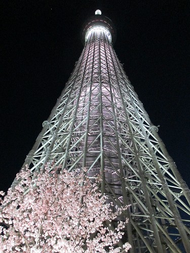 c0015978_845436.jpg