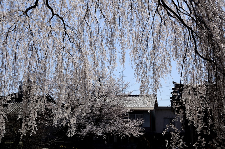 f0108478_7231129.jpg