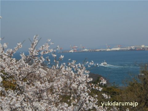 f0055380_22371189.jpg