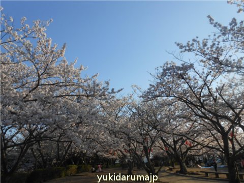 f0055380_22502328.jpg