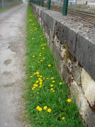 a0247585_7544977.jpg