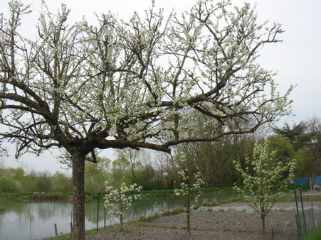 a0247585_7553242.jpg