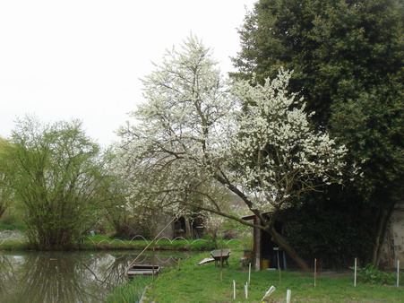 a0247585_81064.jpg