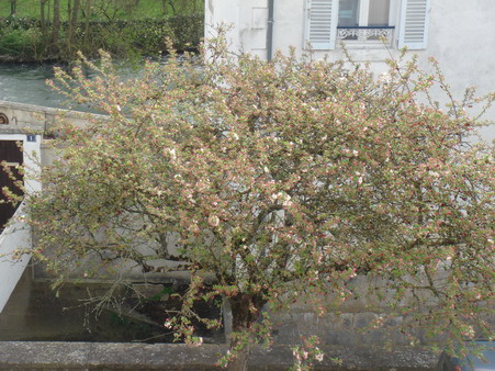 a0247585_85037.jpg