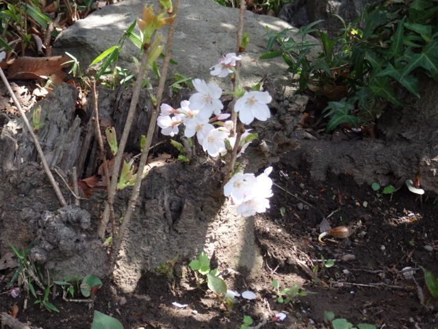 f0130894_22352118.jpg